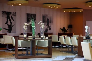 Elephant 30 - restaurant Le Marc.JPG